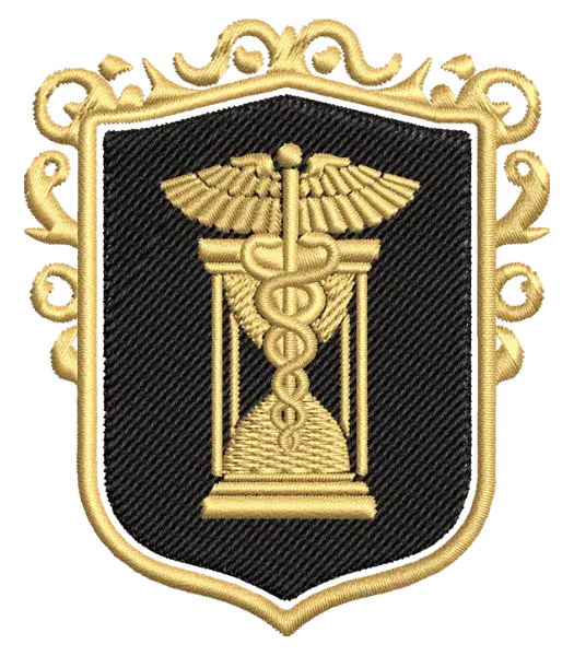 Matriz de Bordado Curso Historia